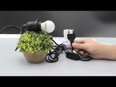 Lâmpada de sal da UE